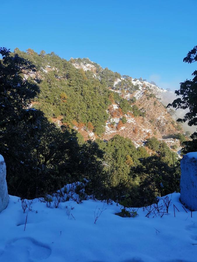 Private Mountain Villa, Lansdowne Esterno foto