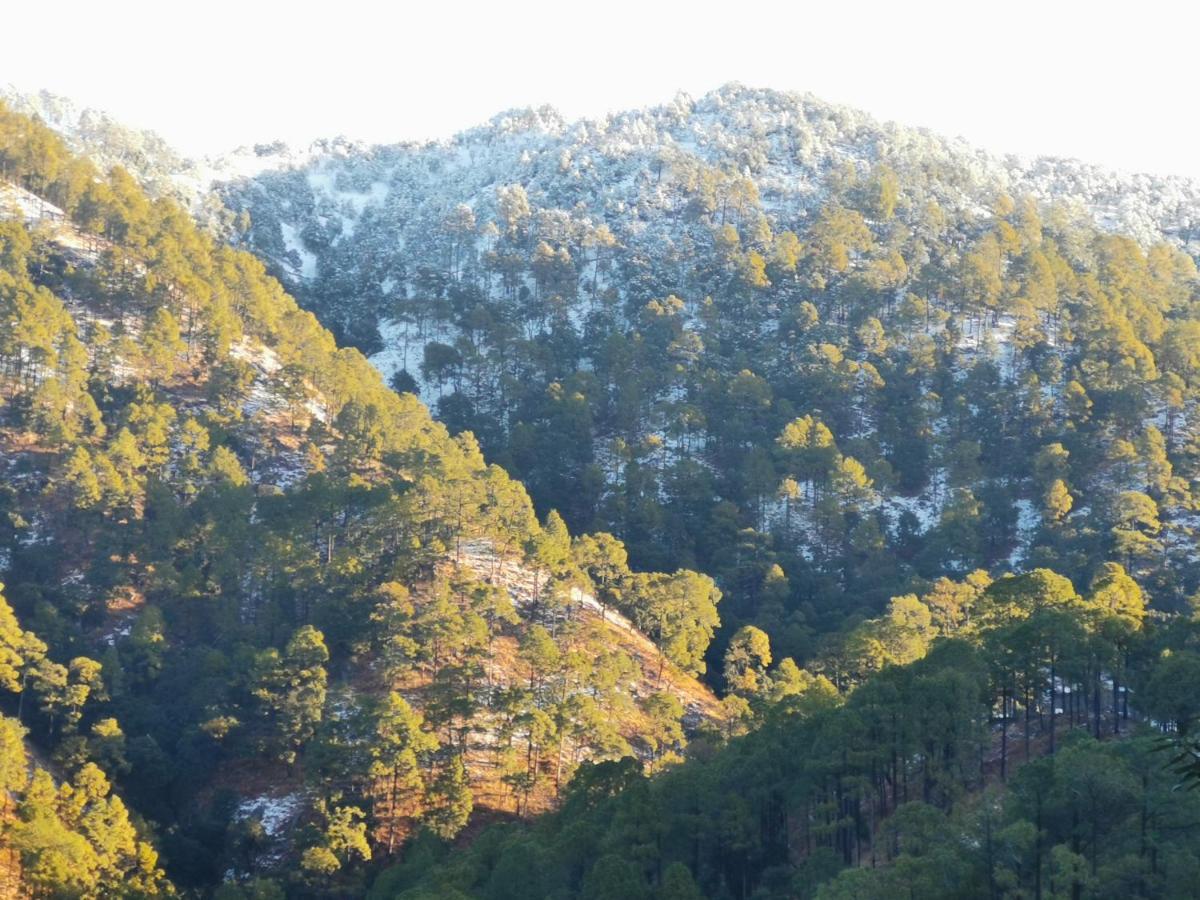 Private Mountain Villa, Lansdowne Esterno foto